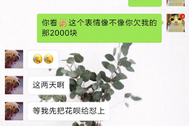 榆林融资清欠服务